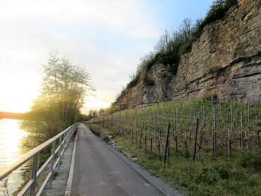 25.04.2019 - Roland Horn - Weg zur BUGA auf dem neuen Radweg