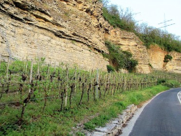 25.04.2019 - Roland Horn- Weg zur BUGA auf dem neuen Radweg