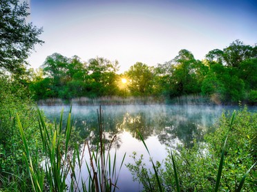 14.05.2019 - Ulrich Seidel - Sonnenaufgang am Seeloch