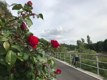 28.05.2019 - Gudrun Cremer - Der neue Radweg