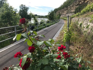 28.05.2019 - Gudrun Cremer - Der neue Radweg