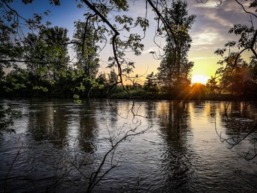 22.05.2019 - Werner Ohsam - Sonnenuntergang am Neckar