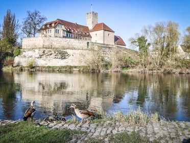 22.04.2019 - Werner Ohsam -  Frühlingserwachen am Neckar