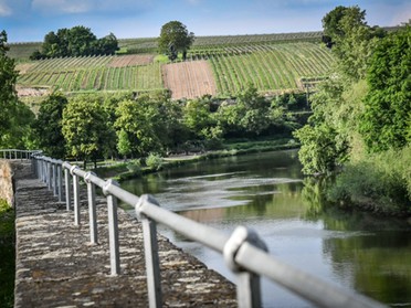 27.05.2019 - Werner Ohsam - Neckarblick von der Lauffener Kirche