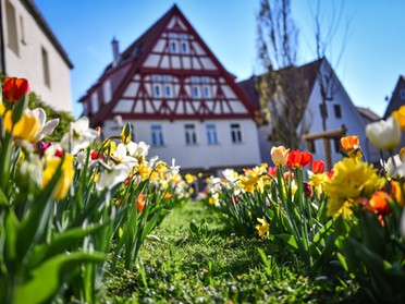 22.04.2019 - Werner Ohsam - Frühling meets Fachwerk