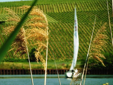 07.06.2019 - Gonzalo Galindo Gatica Segeln in Richtung Wein 