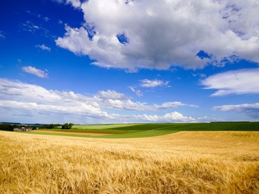 20.06.2019 - Ulrich Seidel - Felder mit Himmel zwischen Lauffen und Nordheim