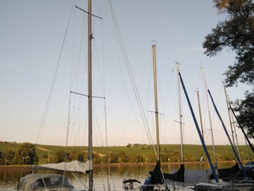 06.08.2019 - Andrea Piest - Boote am Neckar