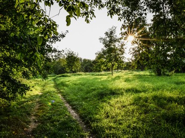 29.08.2019 - Werner Ohsam - Lauffener Obstwiesen am Neckar (hinter der Kläranlage)