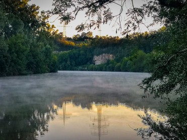 03.09.2019 - Werner Ohsam - Nebelschwaden auf dem Neckar