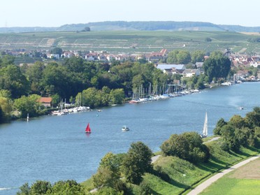 15.09.2019 - Bernd Reichle - Blick auf den Neckar vom Krappenfelsen