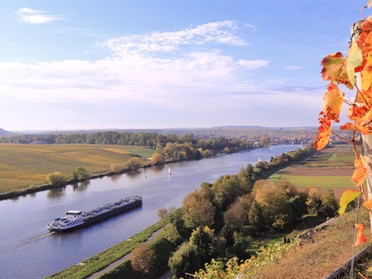 20.10.2019 - Frank-M. Zahn - Neckar im Herbst