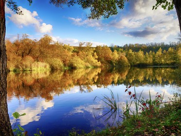 9.11.2019 - Ulrich Seidel - Herbst am Seeloch