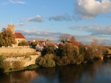 09.11.2019 - Bernd Steinle - Pfalzgrafenburg im Herbst