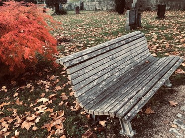 04.11.2019 - Gudrun Cremer - Herbstfarben im alten Friedhof