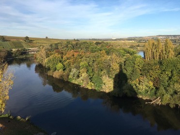 28.10.2019 - Susanne Serve - Regiswindiskirche-Schatten auf der Vogelinsel