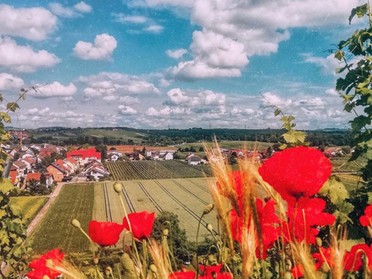 27.06.2019 - Ena Sikiric - Mohnblumen im Feld