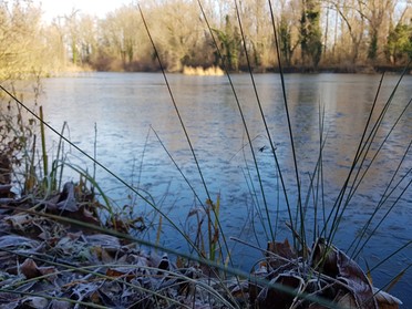 28.12.2019 - Anke Andert - Winterliches Seeloch