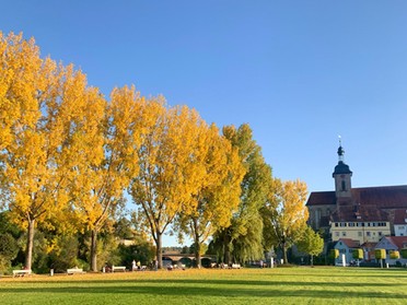 13.10.2019 - Marco Eberbach - Goldener Oktobertag am Kiesplatz