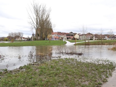 25.01.2020 - Roswitha Demmler - Hochwasser am Kies