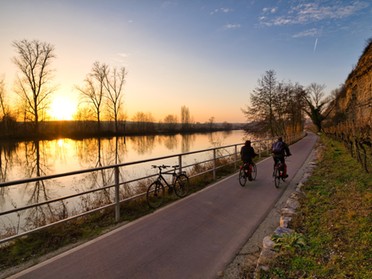 08.02.2020 - Ulrich Seidel - Sonnenuntergang am Neckartalradweg bei Lauffen a.N.