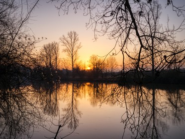 08.02.2020 - Ulrich Seidel - Abendstimmung am Neckartalradweg bei Lauffen