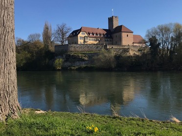 30.03.2020 - Gudrun Cremer - An dem schönen blauen Neckar