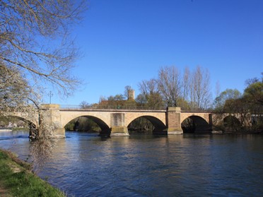 30.03.2020 - Gudrun Cremer - Alte Neckarbrücke