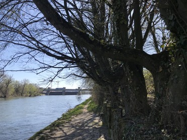 23.03.2020 - Annette Hägele Schleuse und Brücke