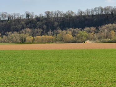 Ende März - Birgit Sautter - Bauer auf dem Feld am Kaywald