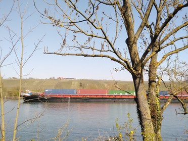 28.03.2020 Andrea Piest - Schiff auf dem Neckar