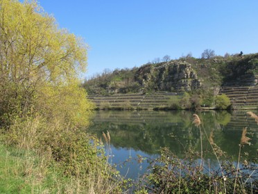 02.04.2020 - Roland Horn - Blick auf den Krappenfelsen