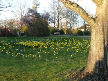 22.03.2020 - Hans-Peter Schwarz - Frühlingsimpressionen vom Parkfriedhof