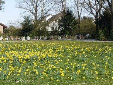 24.03.2020 - Hans-Peter Schwarz - Frühlingsimpressionen vom Parkfriedhof