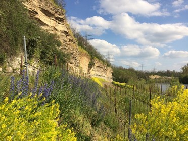 19.04.2020 - Dorothee Vögele - Frühling in der Neckarhalde