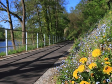 22.04.20 - Frank. M. Zahn - Frühling am Neckarradweg