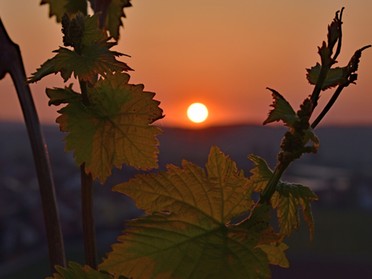 25.04.2020 - Martin Braunbeck - Sonnenaufgang am Geigersberg