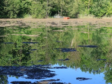 29.04.2020 - Roswitha Demmler - Seeloch mit Spiegelbild