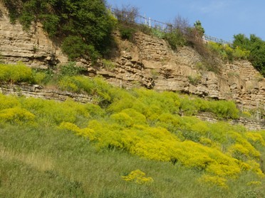 24.04.2020 - Hans-Peter Schwarz - Neckarhälde Radweg nach Horkheim