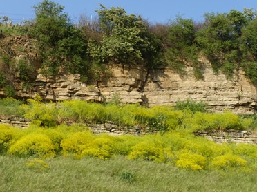 24.04.2020 - Hans-Peter Schwarz - Neckarhälde Radweg nach Horkheim