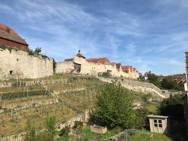 15.04.2020 - Helge Spieth - Seltener Blick auf die Schenkelmauer