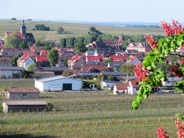 25.04.2020 - Roland Horn - Blick vom Kirrberg