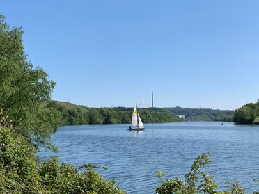 07.05.2020 - Monika Eberhard - Blick auf den Neckar unterhalb des Krappenfelsens