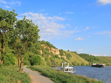 25.05.2020 - Frank-M. Zahn - Blick vom Dammweg auf den Krappenfelsen