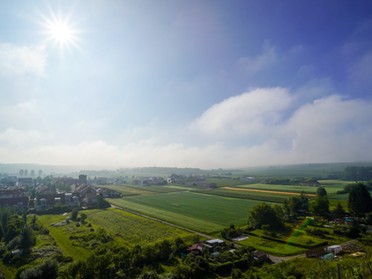 12.06.2020 - Ulrich Seidel - Der morgennebel über den Herrenäckern lichtet sich