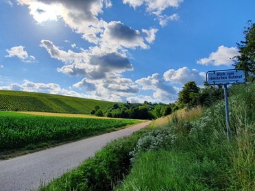 03.07.2020 - Birgit Sautter - Blick am Neckarweg