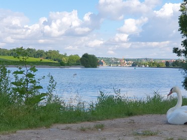 03.07.2020 - Birgit Sautter - Neckar mit Blick auf Lauffen