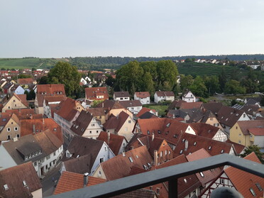 02.08.2020 - Alexandra Gauger-Mauk - Blick vom Turm der Regiswindiskirche