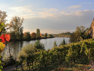 18.10.2020 - Frank-M. Zahn - Herbst am Neckar