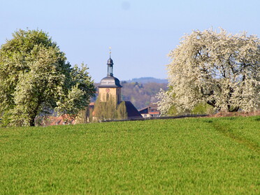 11.04.2020 - Marco Eberbach - Obstblüte um Lauffen